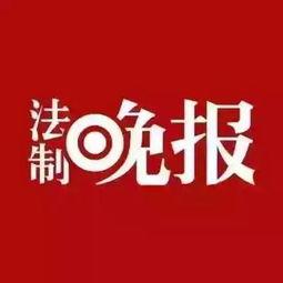 岳麓一小爆料新闻视频,校园新闻视频引发热议