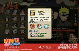 官方最新忍者爆料网站,神秘技能揭秘，忍者世界再掀风云