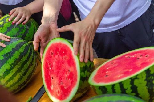 永久免费吃瓜,永久免费吃瓜盛宴