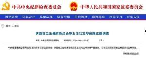 陕西刘宝琴爆料新闻,揭开惊人内幕，事件真相令人震惊