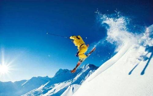 爆料滑雪视频大全,揭秘热门爆料视频大全