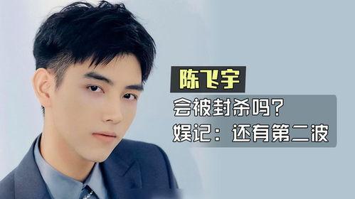 陈飞宇八卦爆料最近新闻,揭秘明星背后的故事与争议