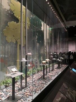 重庆博物馆爆料事件视频,揭秘藏品背后的故事